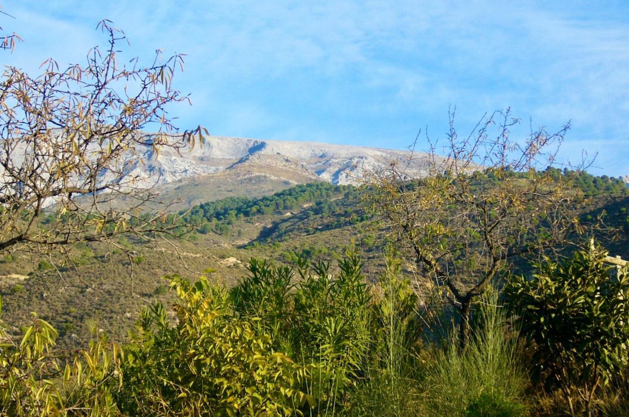 Casa Jardin Natural * Sedella