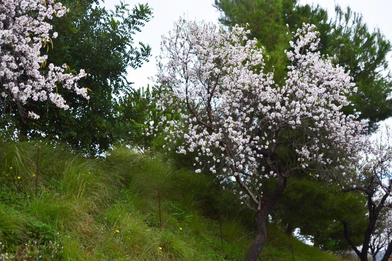 Casa Jardin Natural Willa *