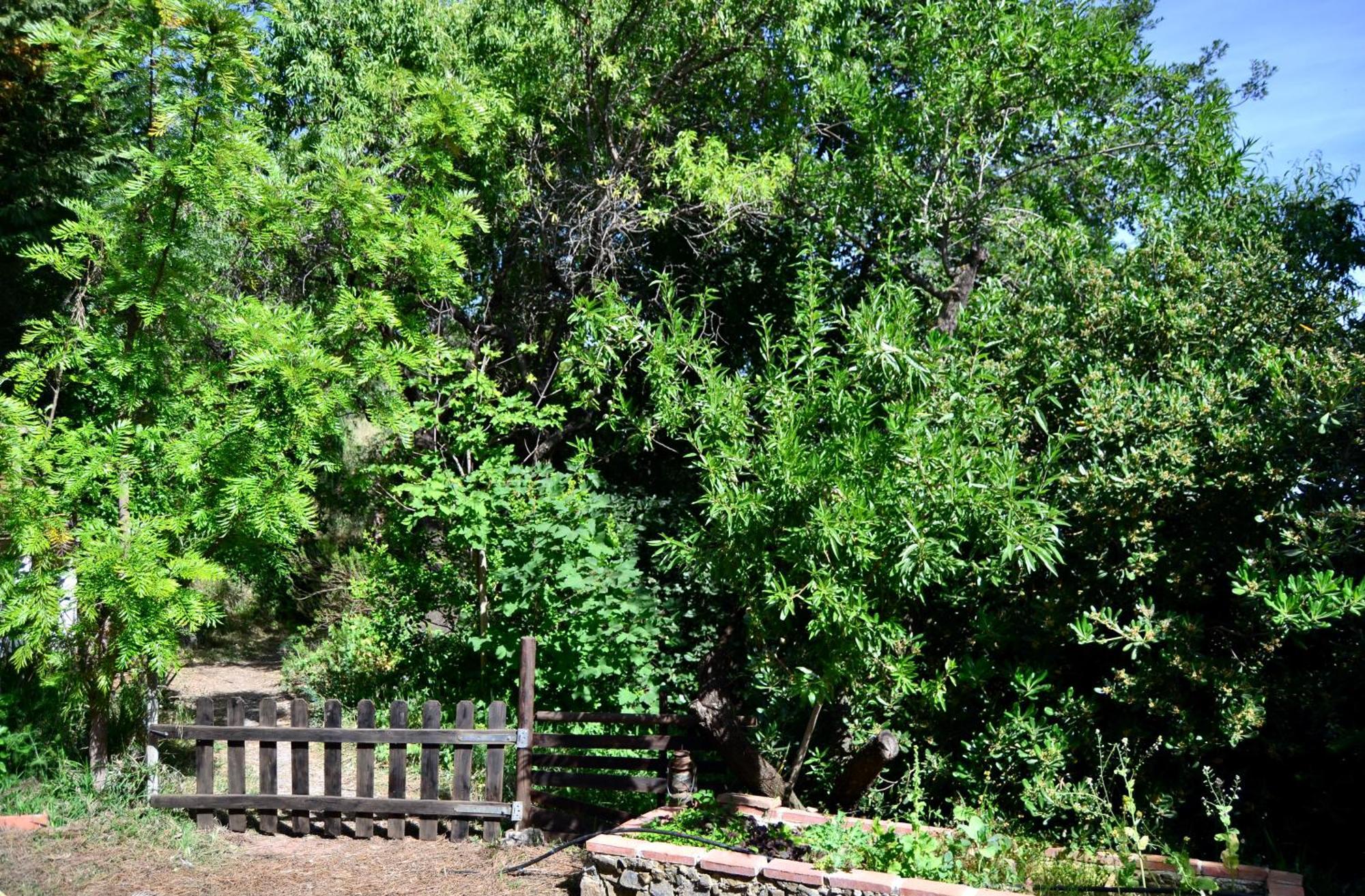 Villa Casa Jardin Natural